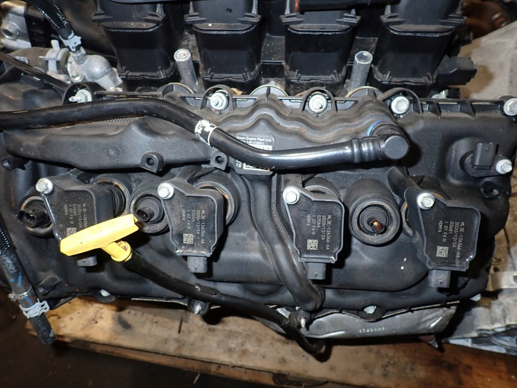 Ignition Coil Ford F150 5.0 2021-
