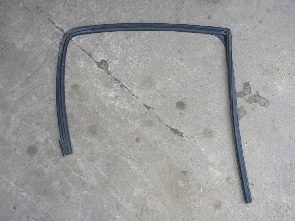 Rear Door Window Seal Dodge RAM 2019-