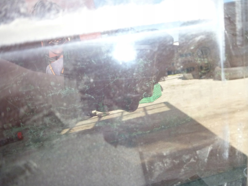 Rear Door Glass Escalade ESV Suburban Yukon XL 15-