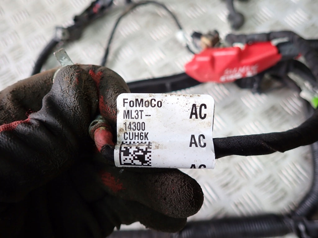Wiązka Instalacja Klema Ford F150 5.0 2021-