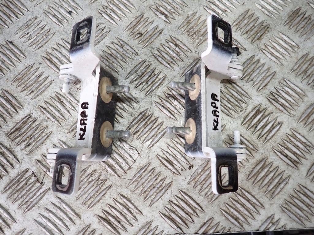 Tailgate Hinges PAIR Ford Expedition 2020