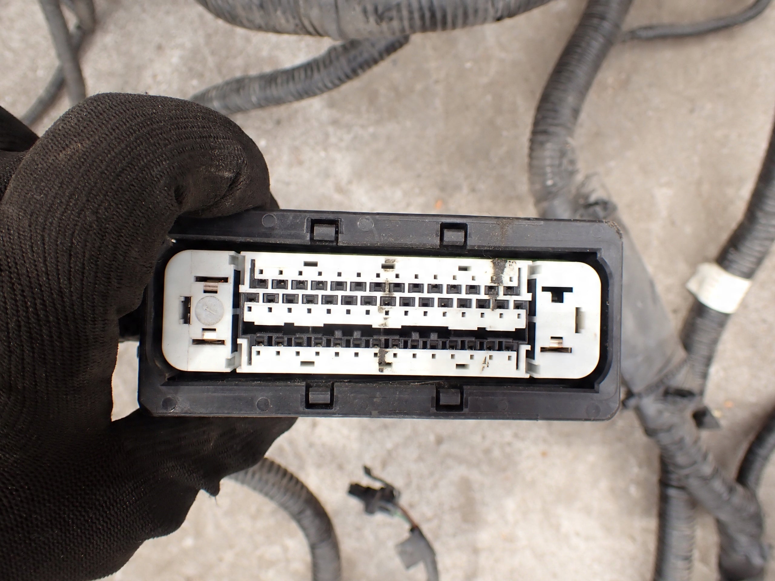 df8252e9c8624a1a5ad0ab0c3efbf1c5