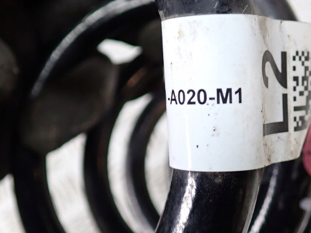 Rear Coil Spring Honda Pilot 4 YG2 3.5 4x4 2023