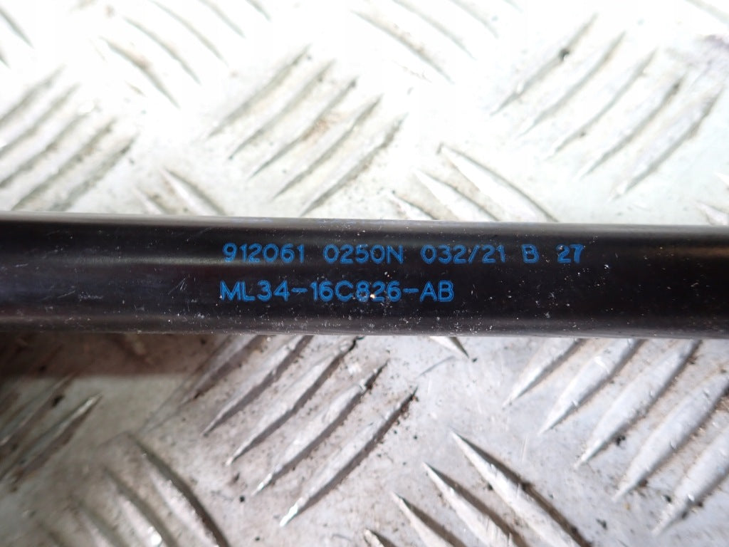 Telescopic Shock Absorbers Hoods PAIR Ford F150 2021-