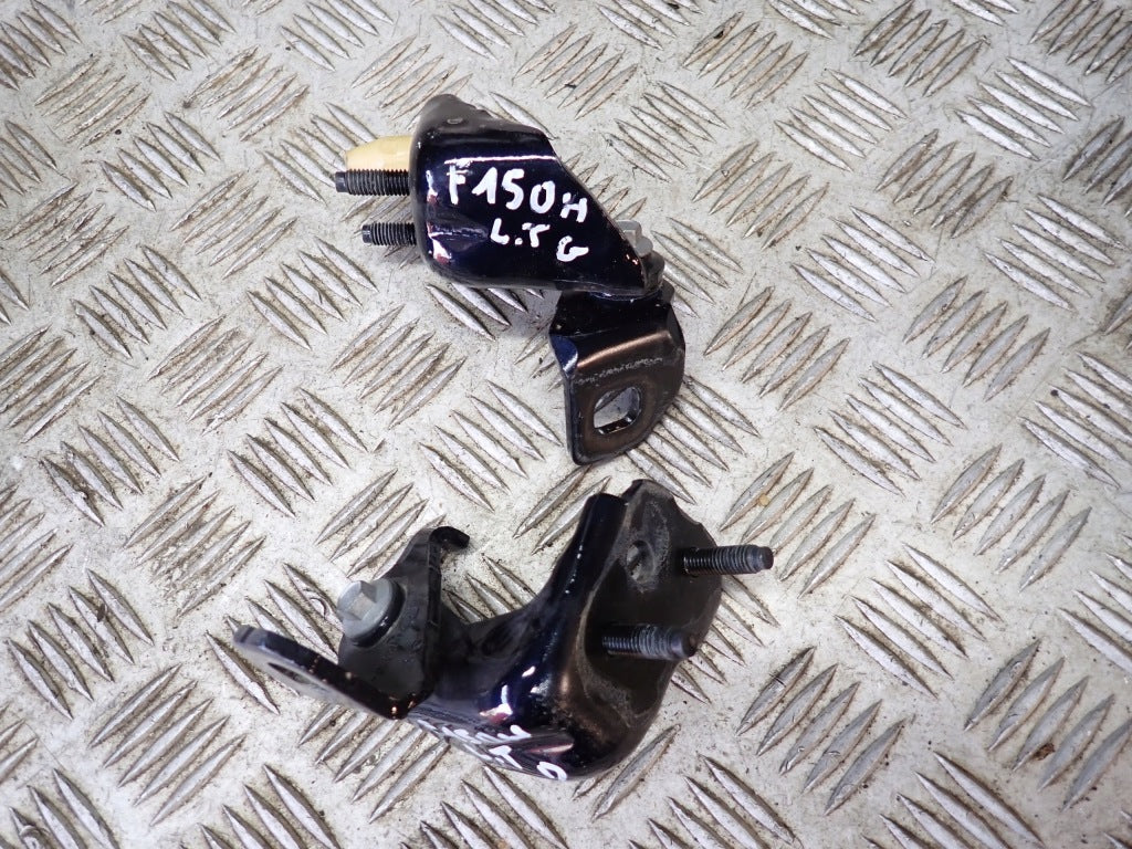 Door Hinges PAIR Ford F150 Crew Cab 2021