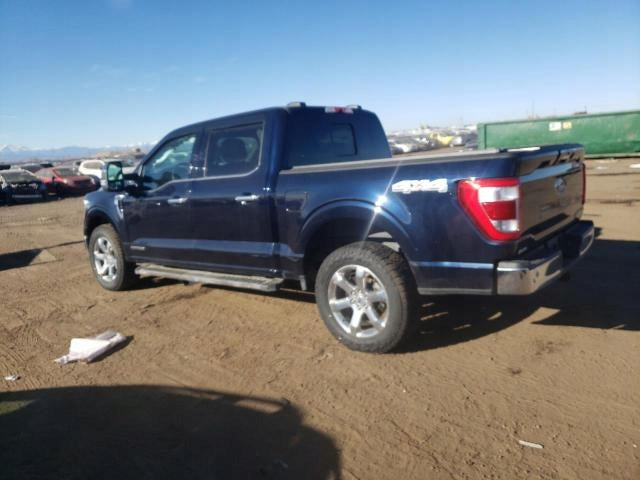 Door Hinges PAIR Ford F150 Crew Cab 2021