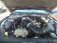 Ford Mustang 3.7 Cabrio