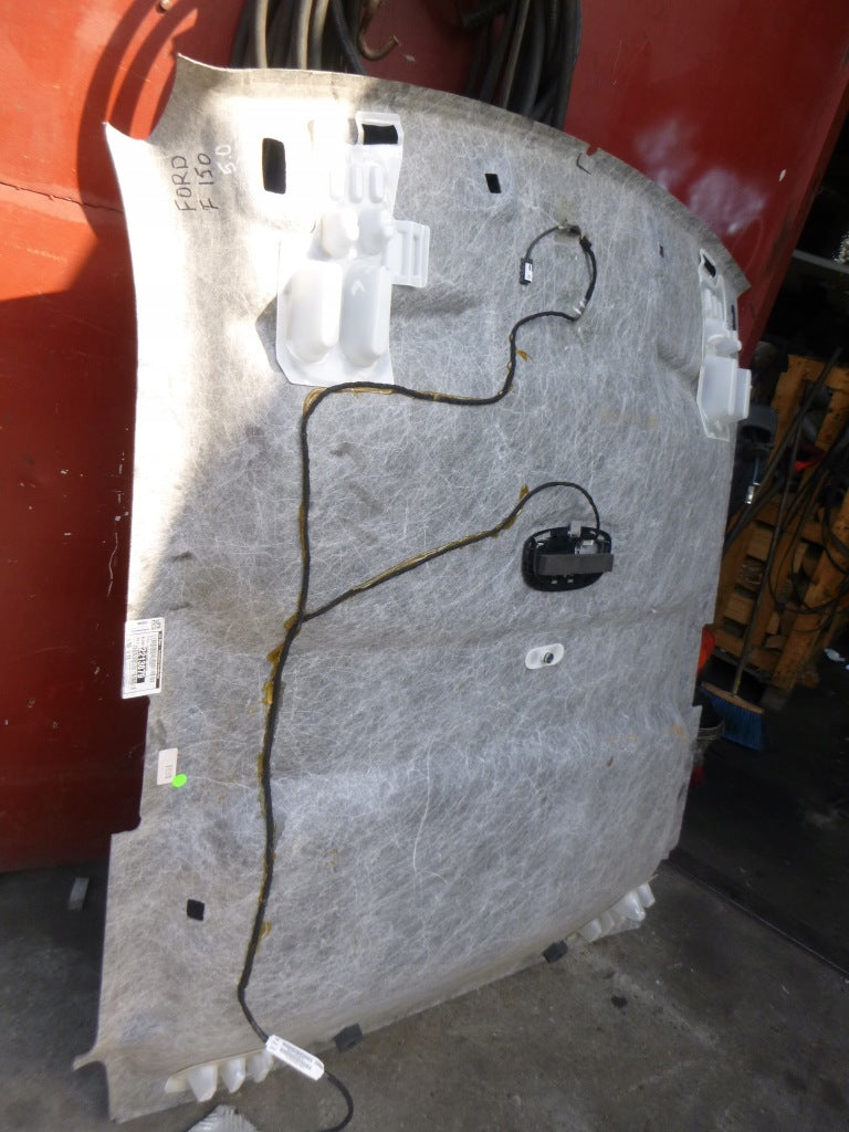 Headliner Ford F150 XII 2011