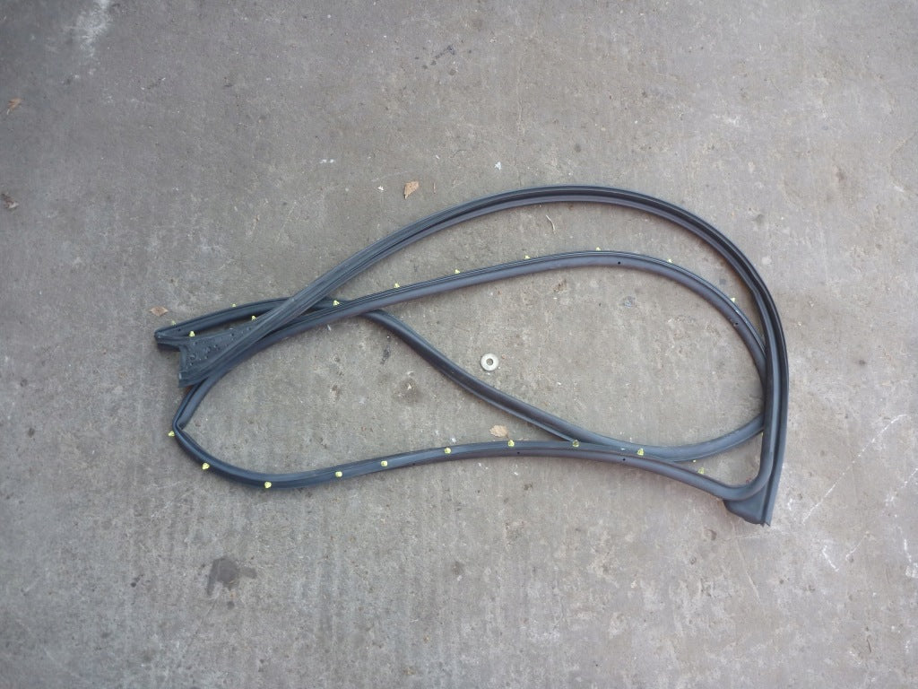 Dodge RAM Door Seal 2019-
