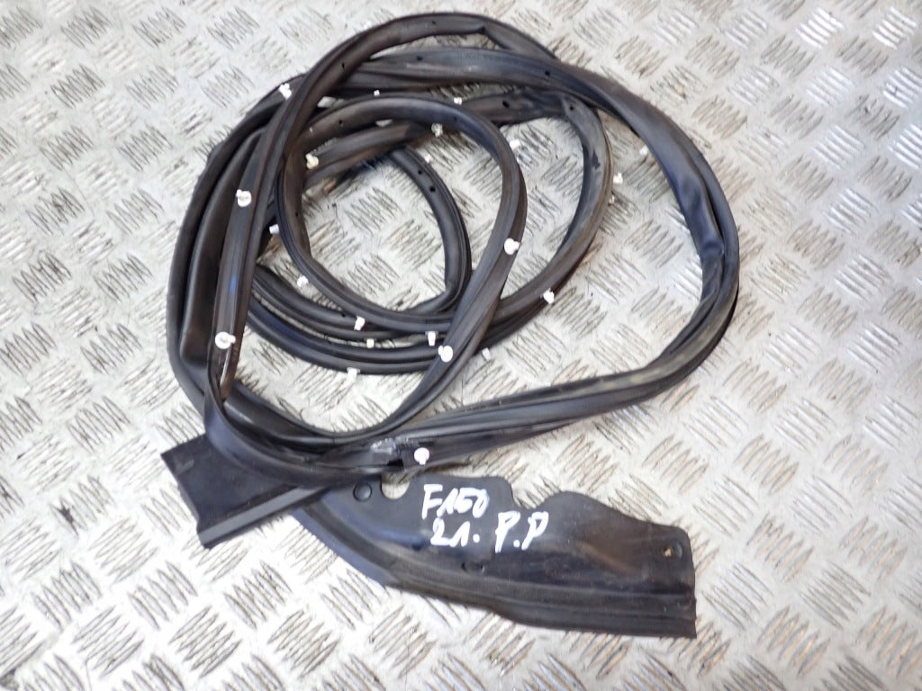 Uszczelka Drzwi Ford F150 2021-