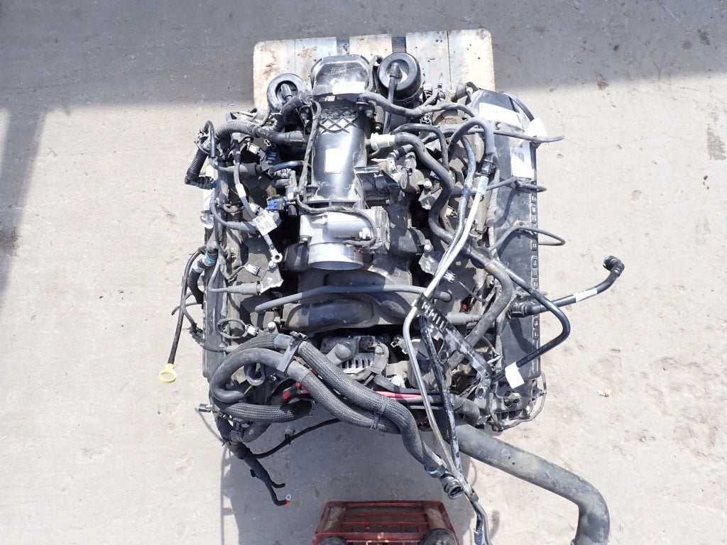 Silnik Goły Głowice Blok 6.2L SOHC 2-Valve Boss V8 Ford F350 F250 P558 2021