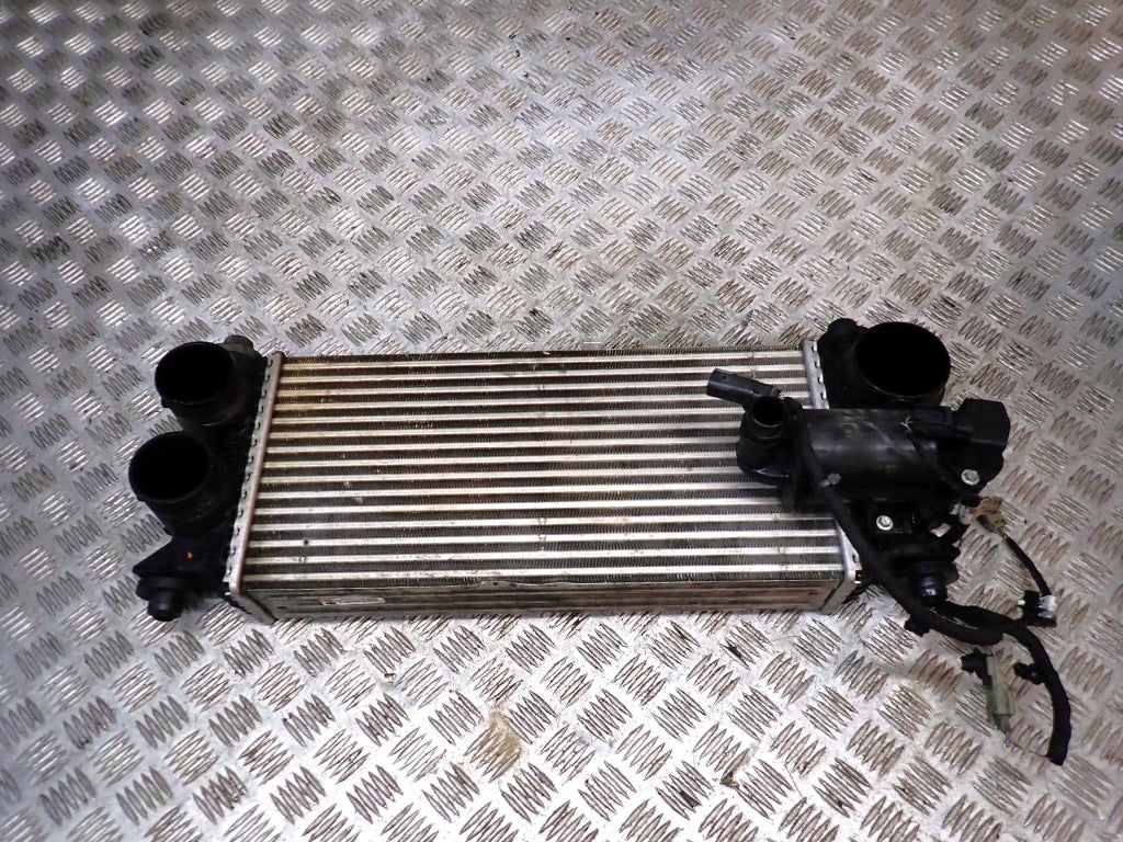 Air Intercooler Ford F150 3.5 2.7 2021-