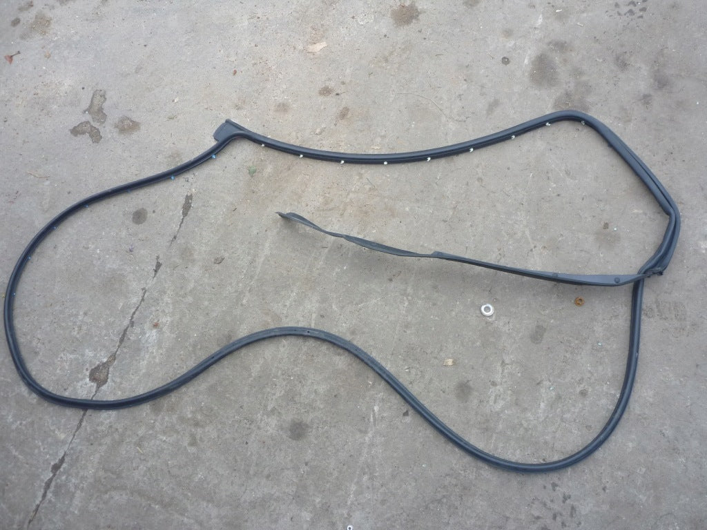 Dodge RAM Door Seal 2019-