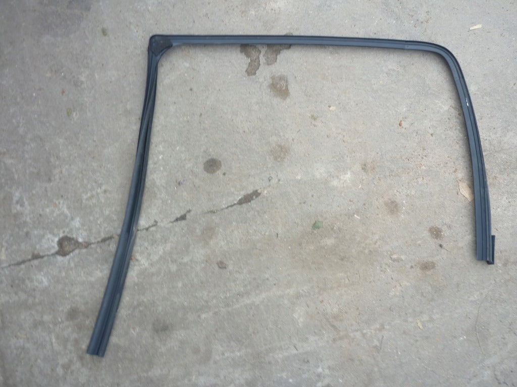 Rear Door Window Seal Dodge RAM 2019-