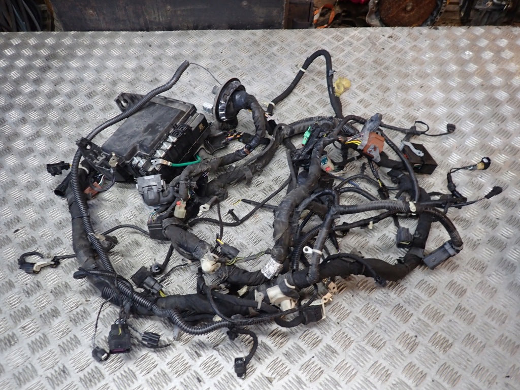 Fuse Box Harness Ford F150 3.5 Powerboost Hybrid 2021-