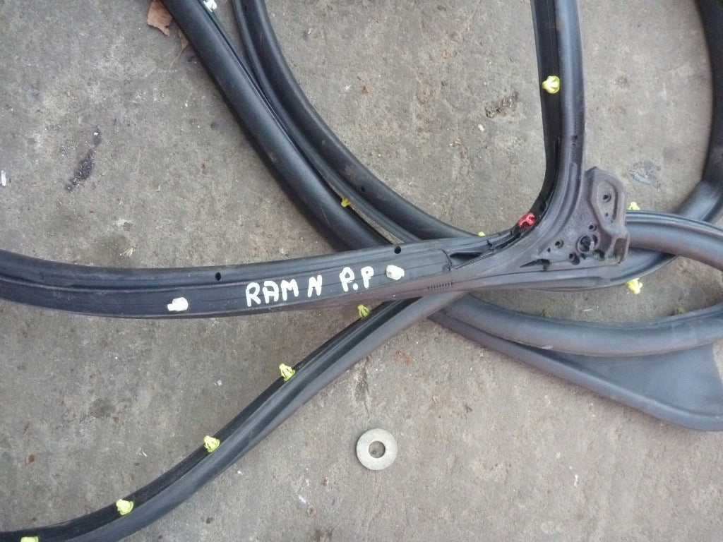 Dodge RAM Door Seal 2019-