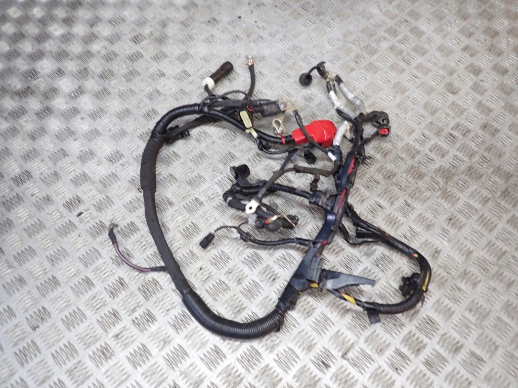 Wiązka Instalacja Silnika Ford F150 3.5 Raptor 2024