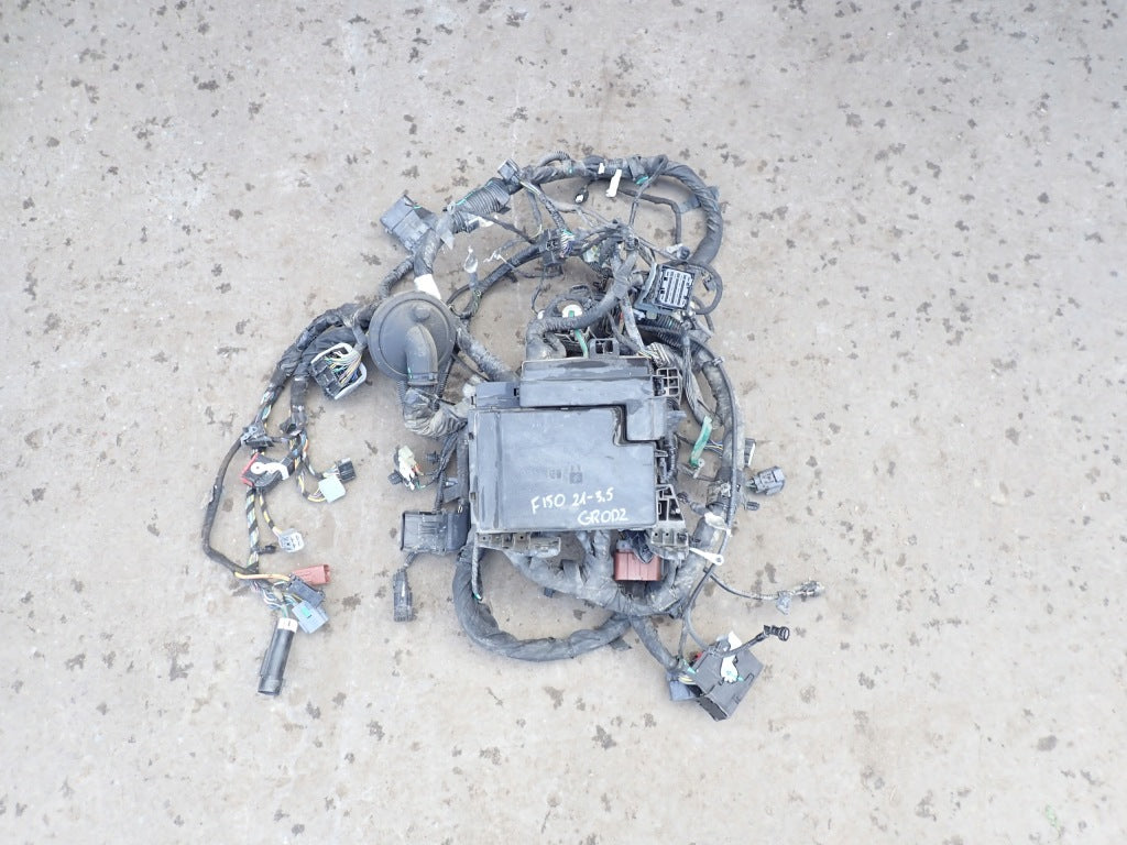 Skrzynka Bezpieczników Bezpieczniki Wiązka Komory Silnika Ford F150 2021