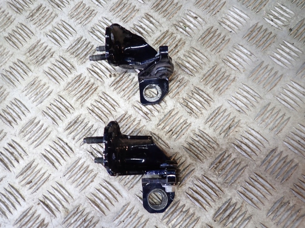 Door Hinges PAIR Ford F150 Crew Cab 2021
